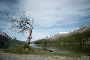 Naturfotografie - Ferien in Graubünden: Zeiten der Ruhe und der Kraft