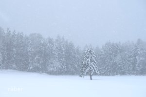 Weihnachten und das Geheimnis der Liebe